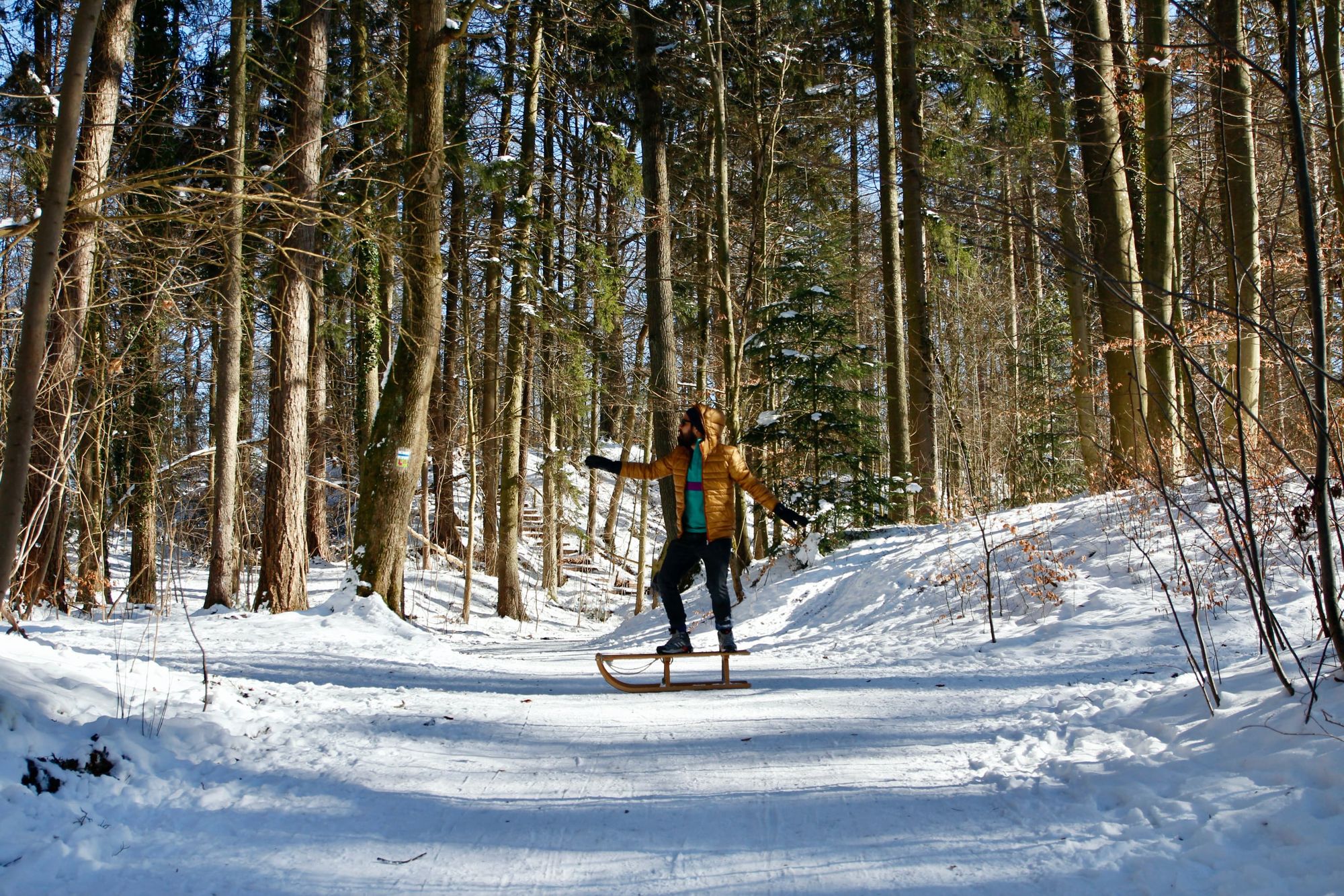 Échate del Trineo 🛷